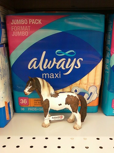 You can lead a horse to maxi pads, but you can't make him menstruate.