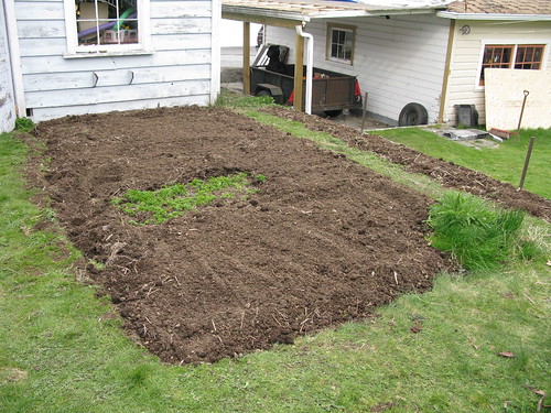 Ruth's Garden plot