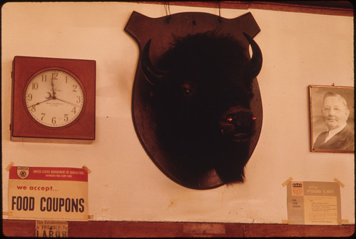 Buffalo Head Mounted Above Shelving in a Butcher Shop in New Ulm, Minnesota ..., 10/1974