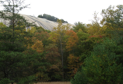 Stone Mountain behind the trees