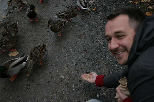 Feeding ducks at the George C Reifel Bird Sanctuary