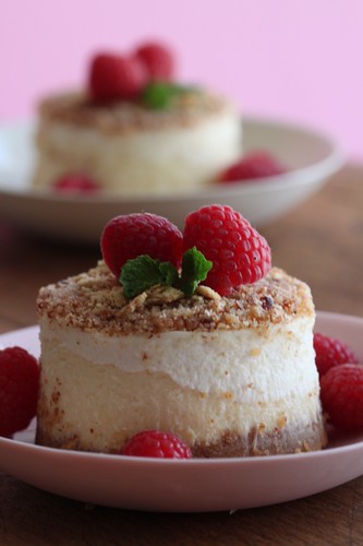mini graham cracker cheesecakes with fresh raspberries on top and scattered around, with a mint garnish