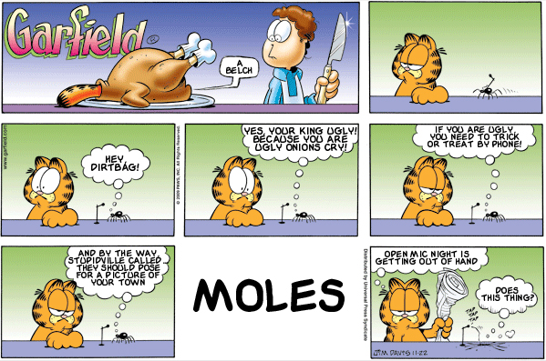 Garfield: Lost in Translation, November 22, 2009