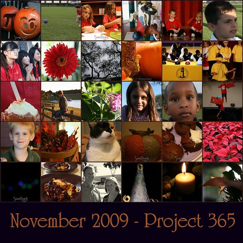 November Project 365 Mosaic