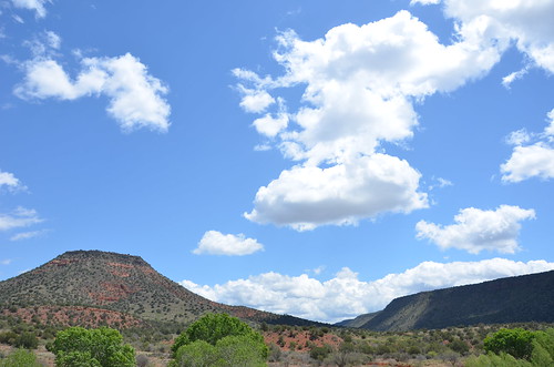 Arizona 2011 504
