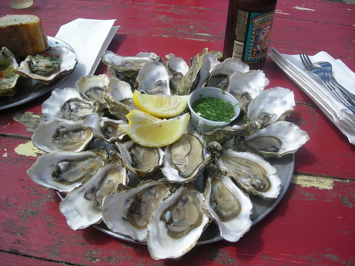 Dozen Oysters