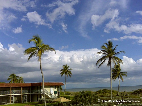 IMG00413-Sanibel-palms-painted-sky