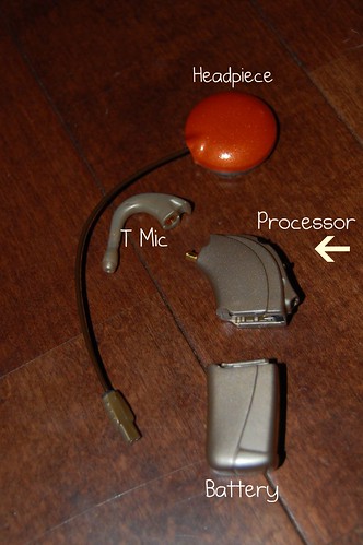 labeled processor