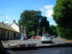 On the way to the garden centre in Kilternan