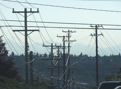 Utility poles in a row on S. Stevens St. Photo by Wendi.