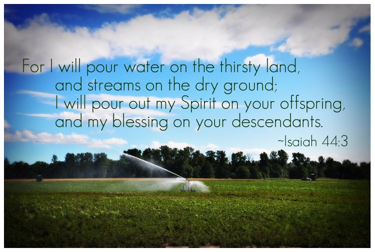 Water on the Thirsty Land