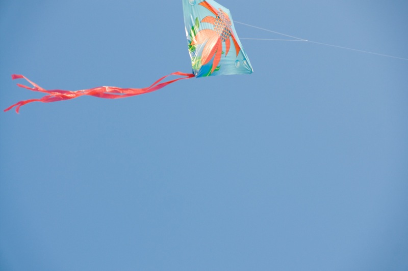 yw-go fly kite-marina barrage-090824-0003.jpg