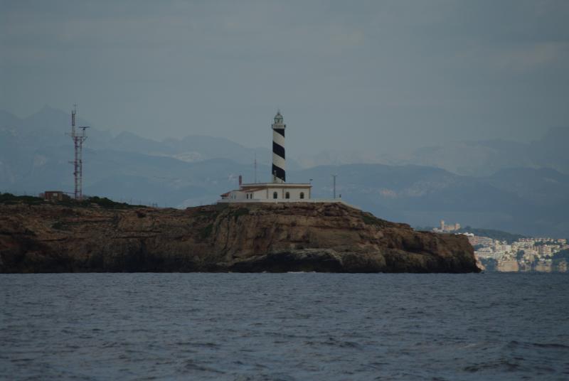 Wild Tigris - Palma lighthouse