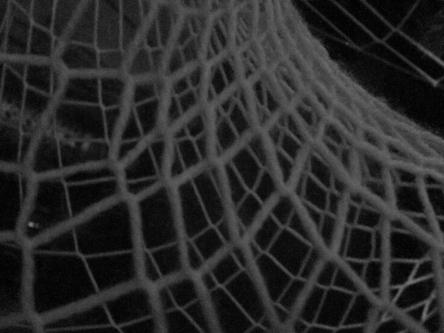 The 3D dream catcher in our old living room close up in black and white :)
