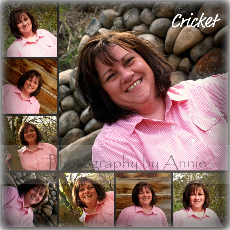Cricket Collage