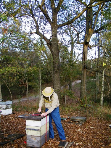 Prepping hives