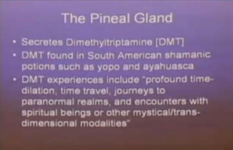 pineal004