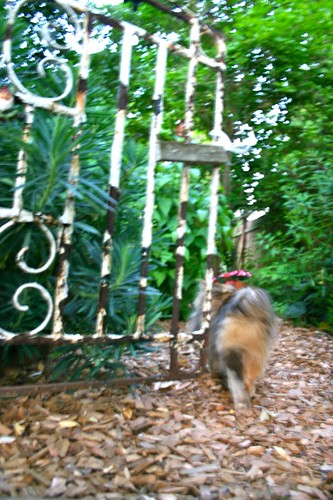 Frida guides us through the garden gate