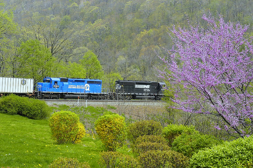 Springtime In Pennsylvania