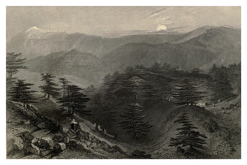 018-Vista general del bosque de cedros en el Libano-Syria, the Holy Land, Asia Minor, etc 1840- Bartlett W. H
