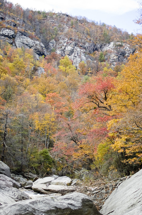 Linville Gorge in Fall