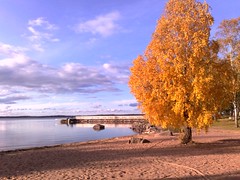 Fall at Lake Vänern in Sweden #2