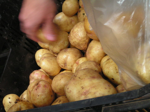 potatoe bin