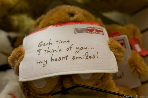 Teddy Bear has a Message For You