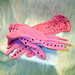 Prom or Party Gloves: Hot Pink with Jet Black Crystals