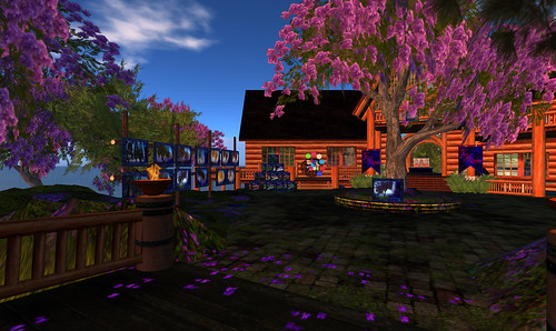 New Jacaranda Trees in front of shop