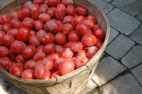 Bushel of San Marzano Tomatoes