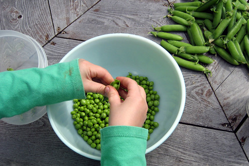 Shelling Peas by Quirky Bags