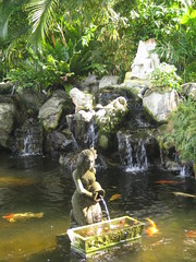 Koi Pond, Mt Faber Park, Singapore