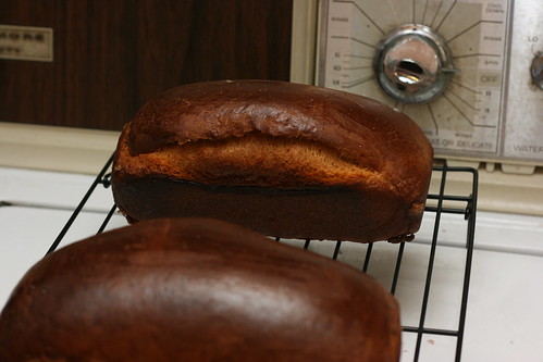 Portuguese Sweet Bread Loaves