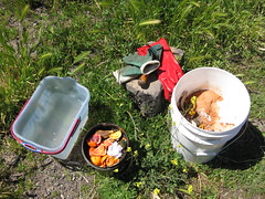 week two_compost making