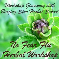 Workshop Giveaway with Blazing Star Herbal School in Ashfield