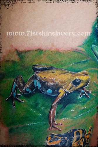 dart frog tattoo. www.71stskinslavery.com