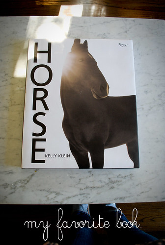 horsebook3