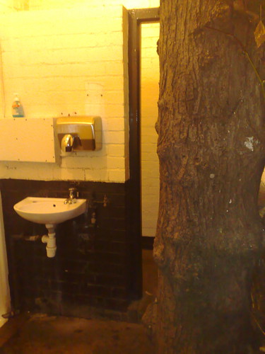 Un arbre dans les toilettes