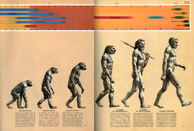 Rudolf Zallinger, The Road to Homo Sapiens, illustration pour The Early Man, 1965 (dépliant fermé).