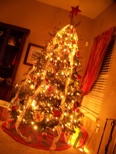 091219 Christmas Tree in den 02