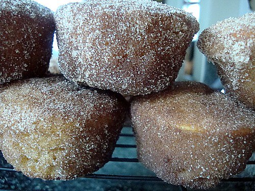 Sugar Donut Muffins1