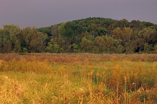 Forest 44 Conservation Area, near Valley Park, Missouri, USA - night view of prairie and hill