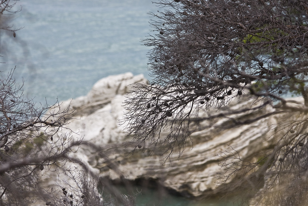 Cliff with trees