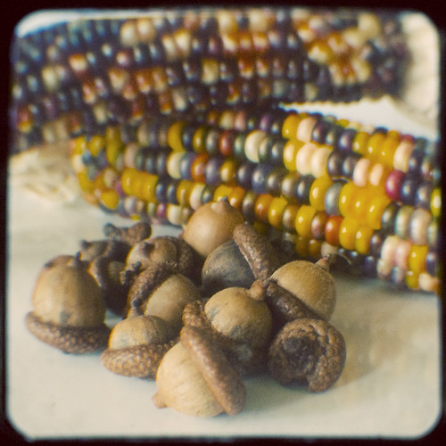 280:365 Indian corn and acorns