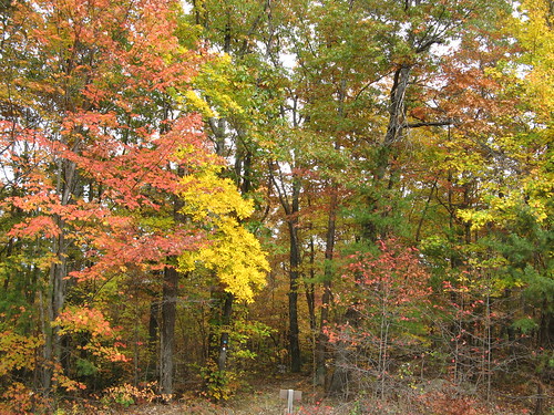 Vivid colors near hike's end