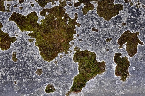 mapa mundi em portugues. Mapa Mundi Ecológico (aff)