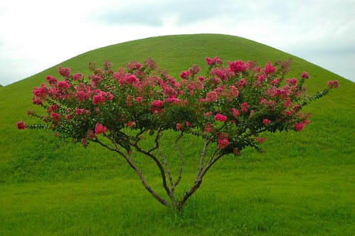 Tumuli Park 03: Burial mounds, South Korea