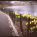 central park spring by leslie*thomson