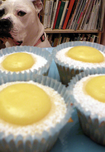 Martha Stewart's Meyer Lemon Cupcakes